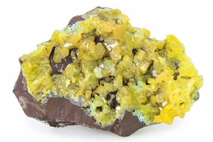 Yellow-Orange Pyromorphite Crystal Cluster - DR Congo #322616